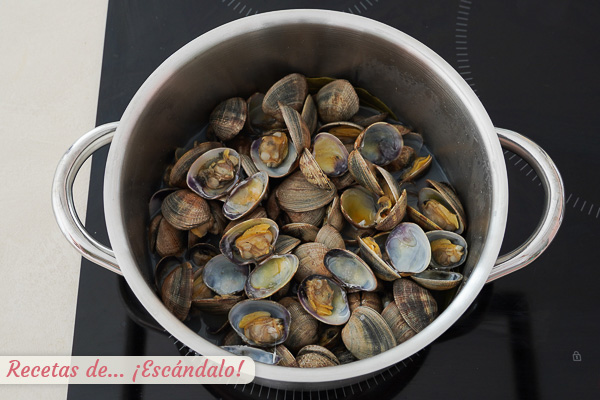 Almejas gallegas al vapor