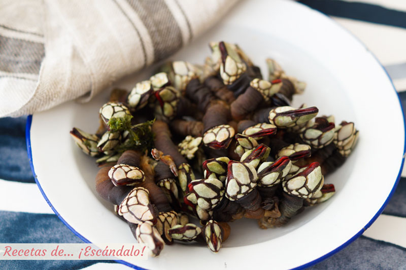 Aprende como cocer percebes para que te queden perfectos