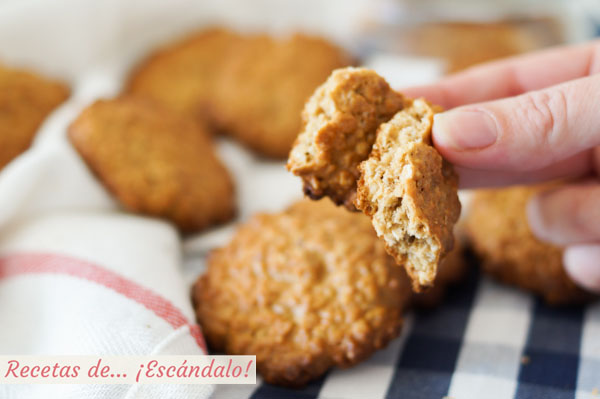 Galletas de avena caseras y faciles