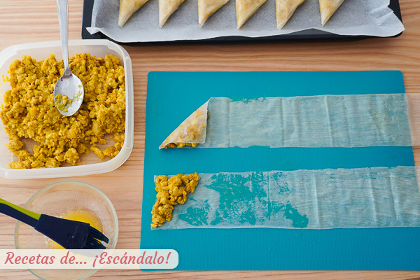 Relleno pollo y masa filo samosas