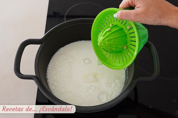 Ingredientes queso requeson casero