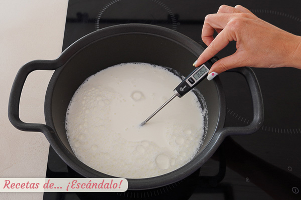 Leche requeson casero